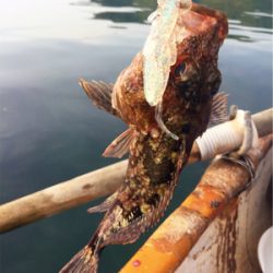 手漕ぎボートでガシラとアナゴが入れ食い@西小川