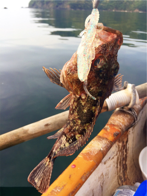 手漕ぎボートでガシラとアナゴが入れ食い@西小川