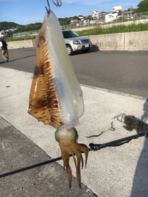 ヤエンで初ゲット