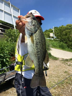 ハマれば爆釣桜池