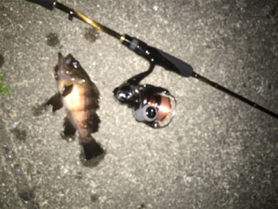 チビメバリング