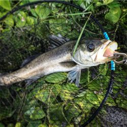 朝練に続き夕練