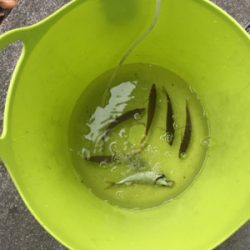 地合いは超短い