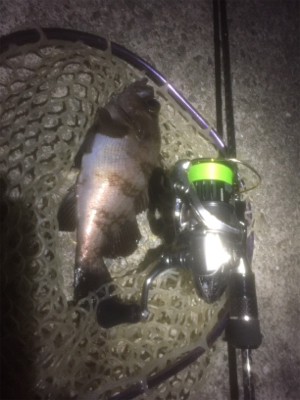 メバルとの我慢くらべ