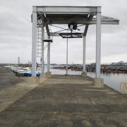 ボウズ逃れのガッシー