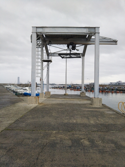 ボウズ逃れのガッシー