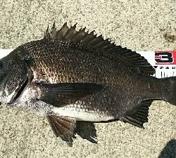 安定のポイントにて