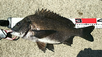 安定のポイントにて