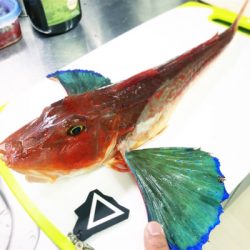 鹿島灘で１つテンヤ