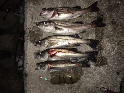 アタリは多いが(・・;)