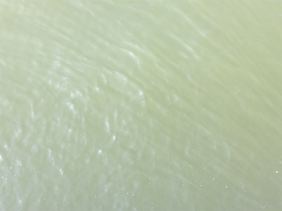 ポーアイ沖堤防 濁りがひどい