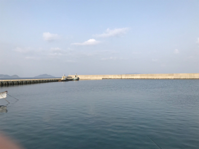 サビキ釣りwithファミリー