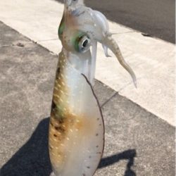 釣り紀行解散の危機  笑