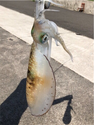 釣り紀行解散の危機  笑