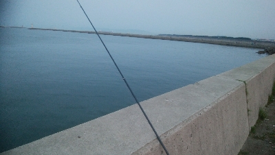 まだまだ少ないです(￣0￣)