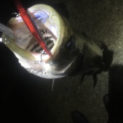 短時間バチ抜け