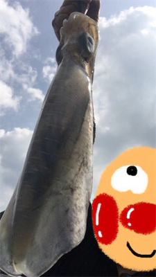 エエ引きでした！