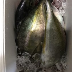 釣り堀