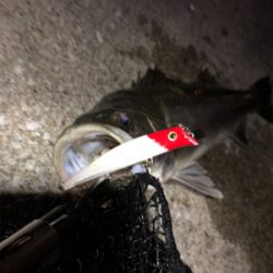 四日市バチシーバス