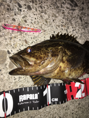 鳴門の漁港にて