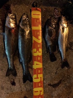 いつもの場所で^ ^