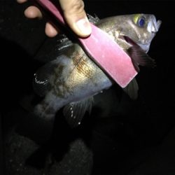 まだまだこれから