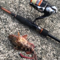 ガジラ様に感謝