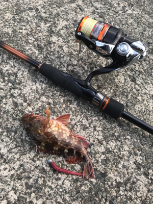 ガジラ様に感謝