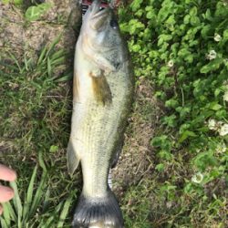 ヤマセンコー2インチ最強説