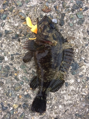 旅行先の雨前に