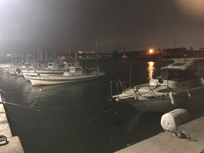 ガシラ狙いで釣行