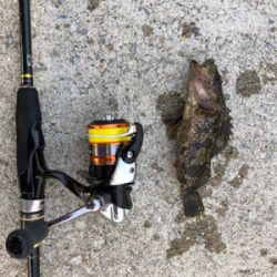 とにかく釣れる釣れる