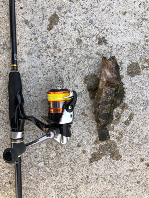 とにかく釣れる釣れる