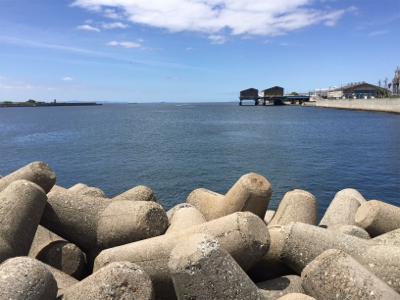 エビ撒き釣り！