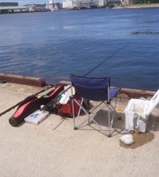 久々のエビ撒き