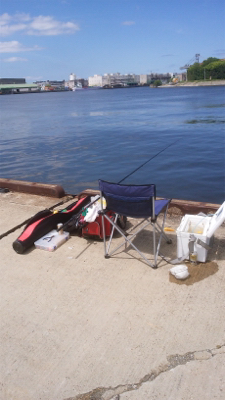 久々のエビ撒き