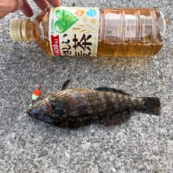 底釣り