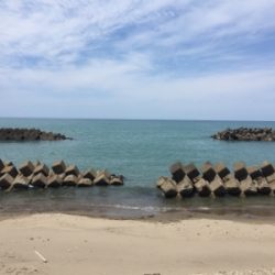 松任C.C.Z釣り調査