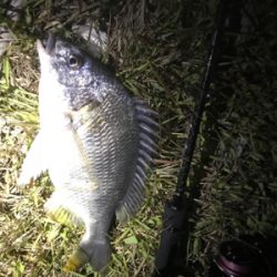 チニングプチ大会♪