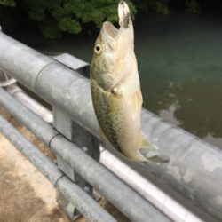 初バス、初ヒット！