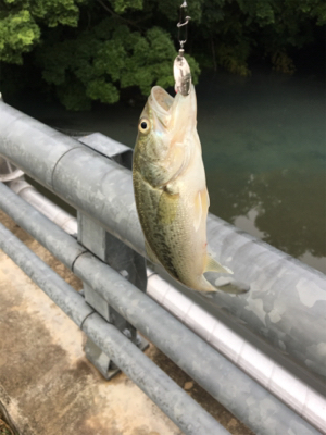 初バス、初ヒット！