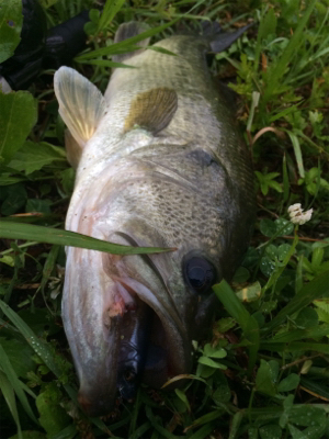 雨パワーで水面炸裂!!