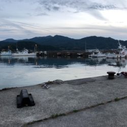 アジングからのサビキ釣り