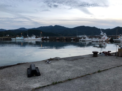 アジングからのサビキ釣り