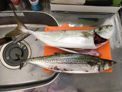 久々にリベンジ⁇