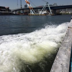 釣り史上最大の後悔