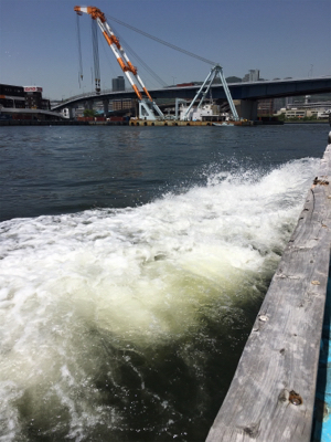 釣り史上最大の後悔