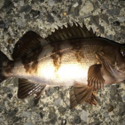 久しぶりにつぬけ