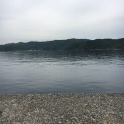 一文字→釣り堀