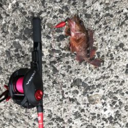 メバリング→エギング→ジギング→穴釣り